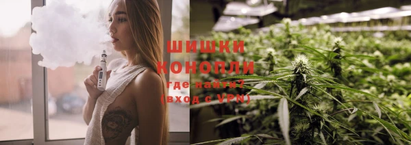 мдпв Вязники