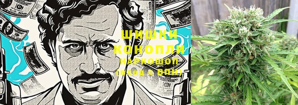 стафф Вязьма