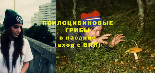 мдпв Вязники