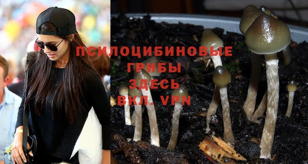 не бодяженный Горнозаводск