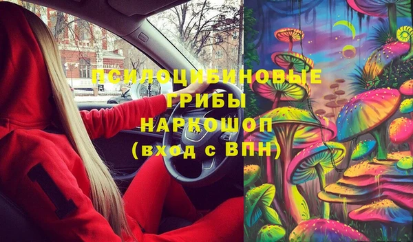 мдпв Вязники