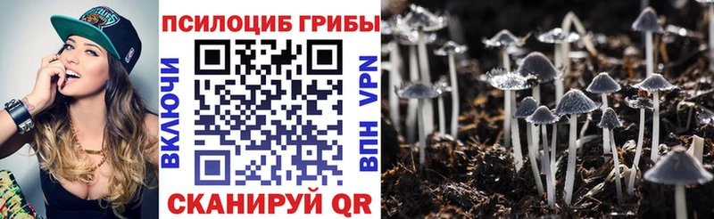 Галлюциногенные грибы MAGIC MUSHROOMS Долинск