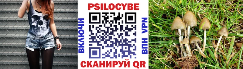 blacksprut сайт  купить   Долинск  Псилоцибиновые грибы прущие грибы 